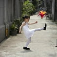 thumbnail image 5 of 2 Pcs Volant Coloré Chinois Jianzi pour Enfants et Adultes, 5 of 5