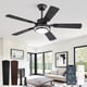 thumbnail image 1 of Ventilador de techo Fanbulous 122 cm con luces y control remoto de 6 velocidades, 1 of 7