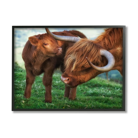 Stupell Industries Loving Longhorn Cattle Nuzzling Calf Heartwarming Animals Photograph Black Framed Art Print Wall Art, Design by James Dobson