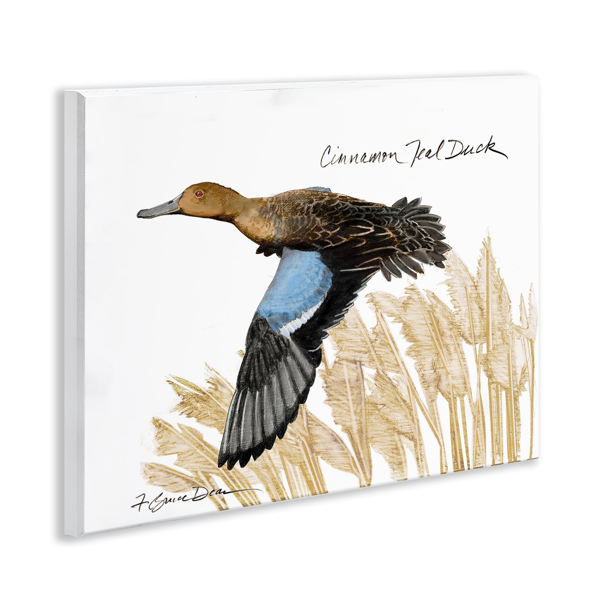 Stupell Industries Cinnamon Teal Duck Flying Animals & Insects Painting Unframed Art Print Wall Art, 14 x 11