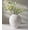 Wabi-sabi, variant on White Ceramic Vase, Rustic Farmhouse Flowers Vase for Home Decor, Sandstone Texture Round Pottery Tall Vase Indoor for Table Living Room Decor
