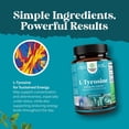 thumbnail image 6 of Natures Craft 500 mg L-Tyrosine Amino Acid Supplement for Energy and Focus Support, 60 Capsules, 6 of 9