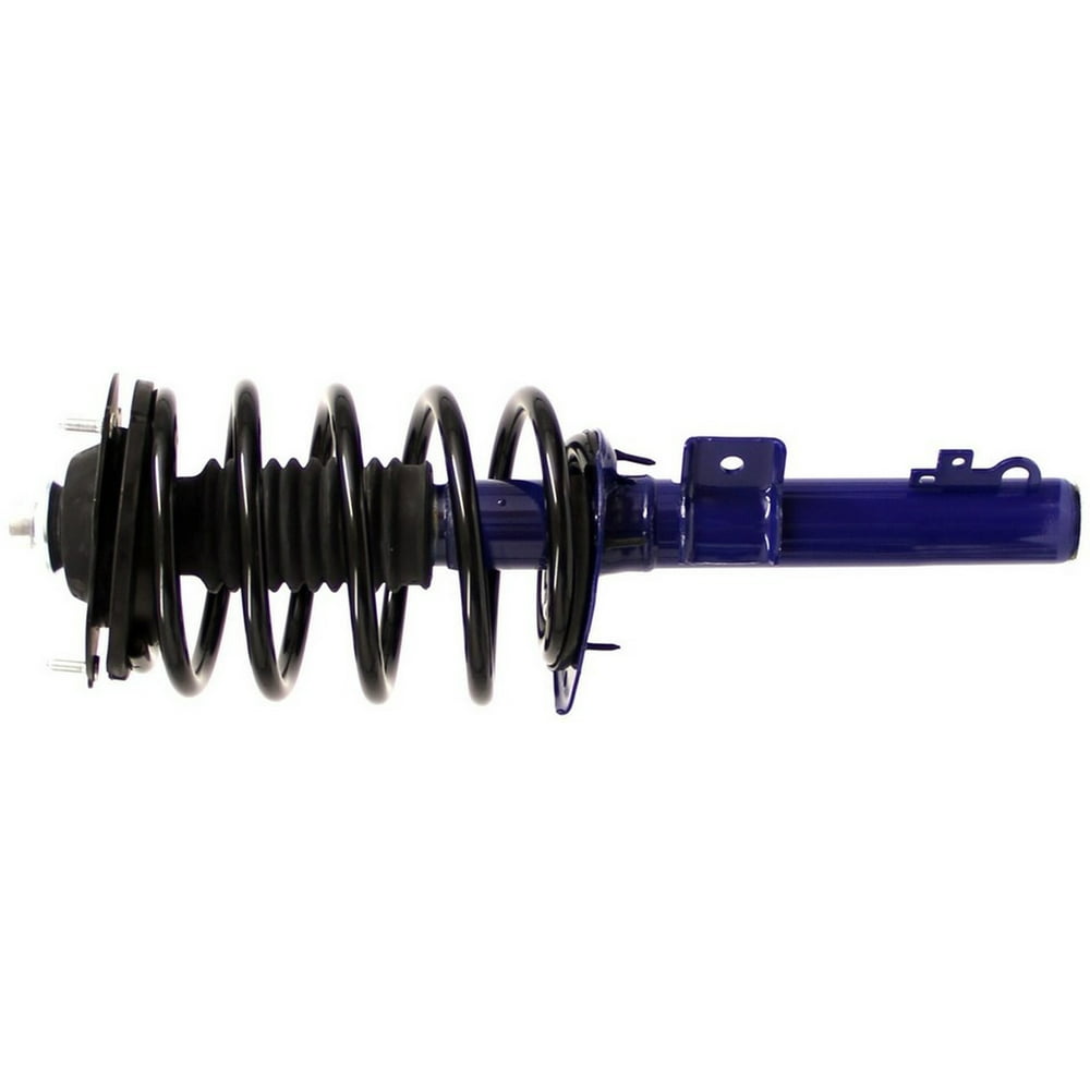 Suspension Strut and Coil Spring Assembly