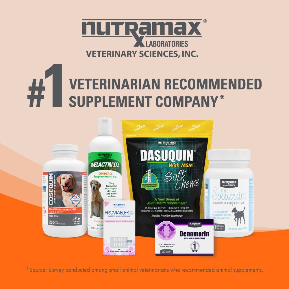 Imuquin Powder Immune Health for Dogs 30ct