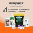 thumbnail image 6 of Imuquin Powder Immune Health for Dogs 30ct, 6 of 7