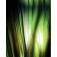 thumbnail image 2 of PI Studio 12x14 Black Ornate Wood Framed with Double Matting Museum Art Print Titled - Organic I, 2 of 4