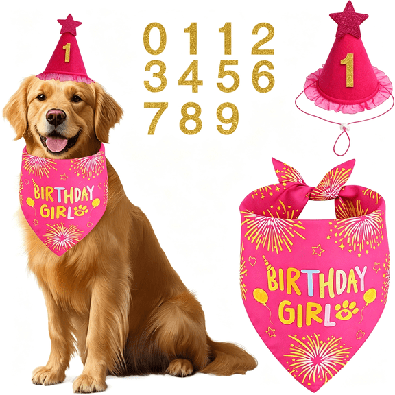 AOMRCOL Dog Birthday Bandana Set Rose Pink, Dog Birthday Party Supplies with Hat Bandana Numbers for Small Girl Pets Puppy Dog Hat