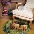 thumbnail image 4 of ERK 1Pcs Easter Bunny Carpet Soft Area Rug For Living Room Bedroom Modern Abstract Floor Mat, 4 of 5