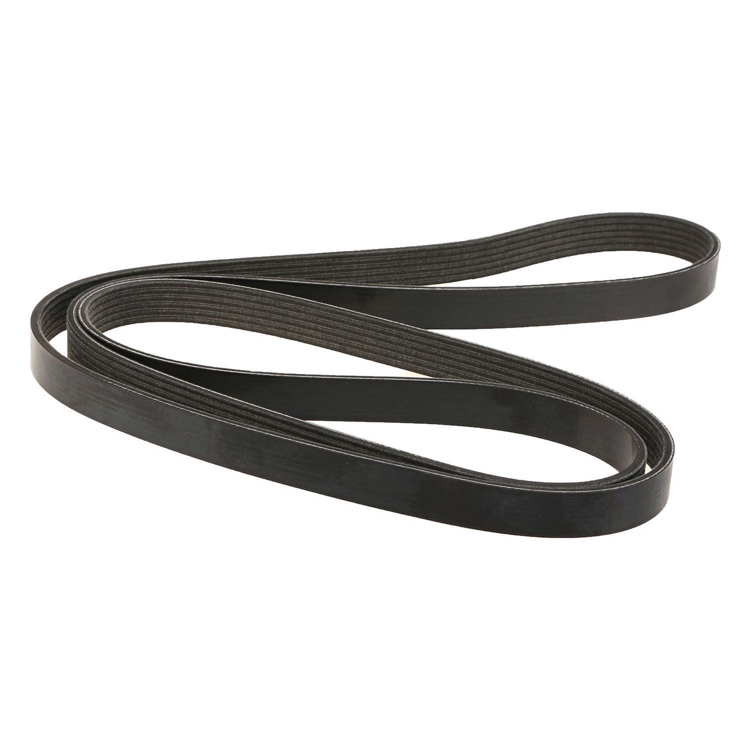 dayco poly rib belt