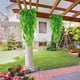 thumbnail image 5 of Hojas Verdes, Hojas Verdes Artificiales Realistas Lavables 2 Piezas Para El Hogar, 5 of 8