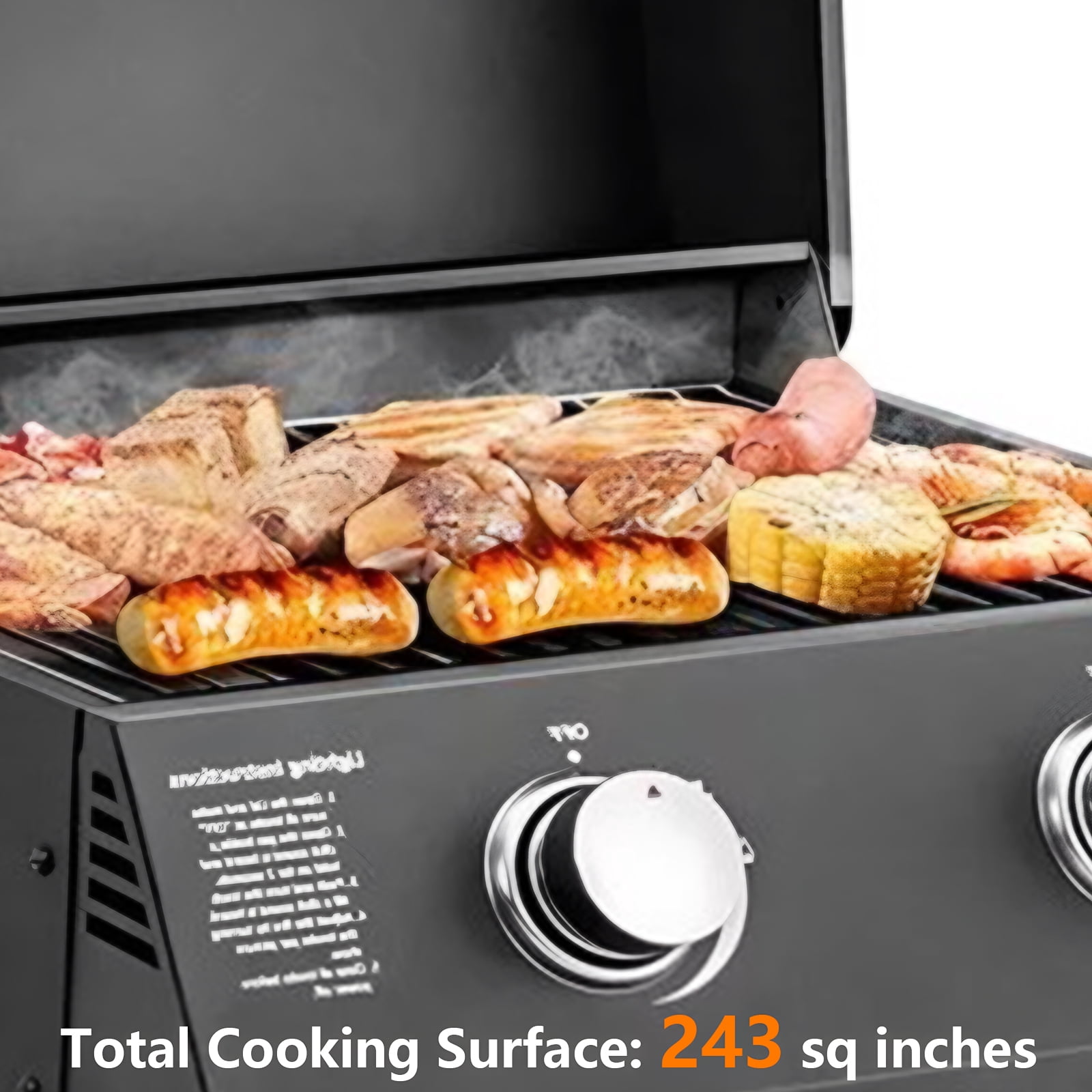 Vebreda 2 Burner Portable Gas Grill Stainless Steel Propane Grill, Black Camping Grill