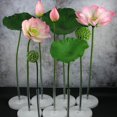 thumbnail image 2 of 1Set Simulated Lotus Bud Adornment Home Pastoral Flower Decor Scene Layout Prop, 2 of 4