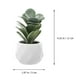 thumbnail image 2 of 4pcs plantas suculentas falsas decoran bonsáis suculentos artificiales para la oficina en casa, 2 of 5