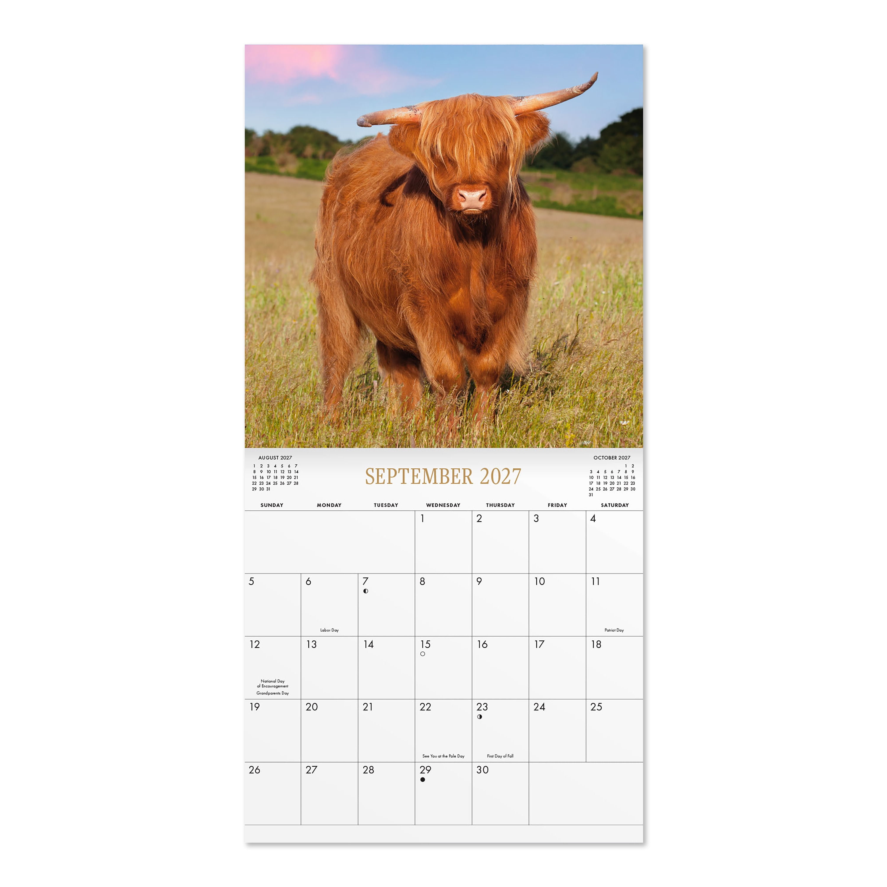 2027 Highland Cows Wall Calendar 12x12 January-December Gridded