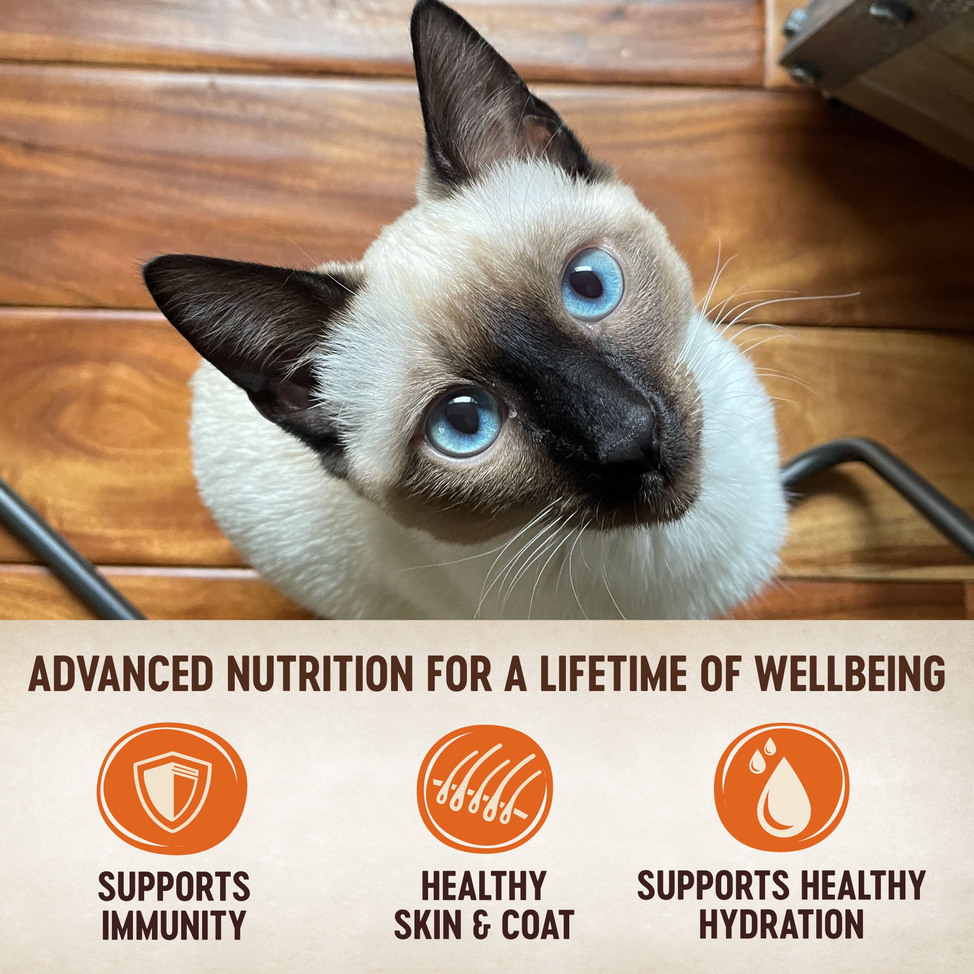 wellness shredded cat food