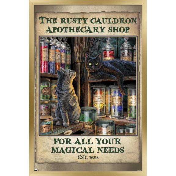 Lisa Parker - Apothecary Shop Wall Poster, 14.725" x 22.375" Framed
