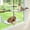 Cat Bed - M, variant on Cat Bed - M Foldable Window Perch Hammock with Metal Frame