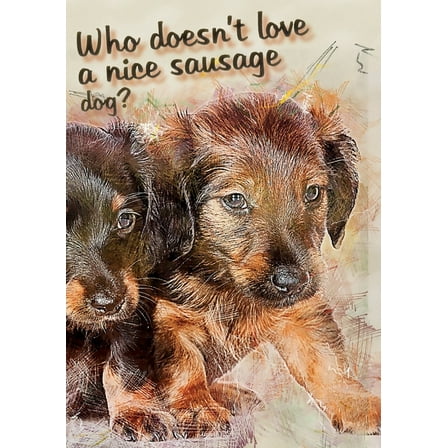 Who doesn't like a nice sausage dog?, (Paperback)