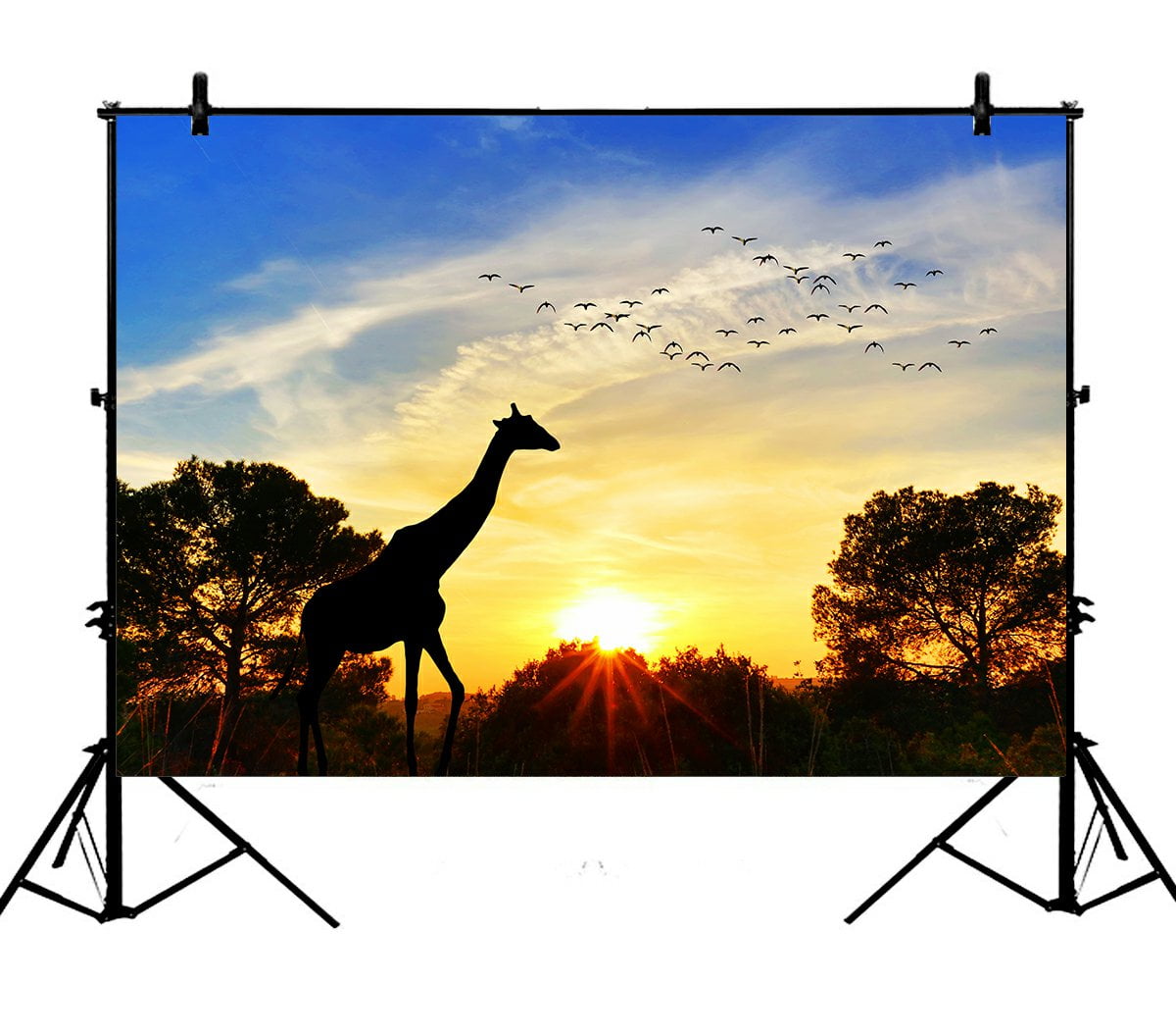 PHFZK 7x5ft Beautiful Nature Landscape Backdrops, Animal Giraffe in the ...