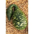 thumbnail image 5 of 15 Seeds GOOSENECK / Bottle / SWAN GOURD Lagenaria Siceraria Vine Seeds, 5 of 11