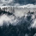 thumbnail image 2 of Bedding Pineforest Duvet Cover Twin Grey Trees Natural Scenery Art Comforter, 2 of 3