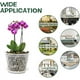 thumbnail image 2 of Zhuge Paquete de 5 macetas para orquídeas, macetas transparentes de 5 pulgadas con agujeros y platillos, macetas de plástico con ranuras transpirables para orquídeas para interior y exterior, 100, 2 of 5