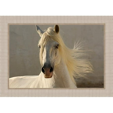 30 x 42 in. Elegance, Framed Giclee Canvas Art - White