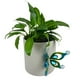 thumbnail image 4 of Colgante de Maceta con Forma de Insecto, de Metal y Vidrio Pintado, con Personalidad de Planta Verde En Maceta., 4 of 7