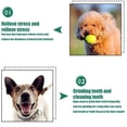 thumbnail image 4 of Dual Ball on Rope Plaything Small Dog Tug Toy, 4 of 5