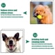 thumbnail image 4 of Juguete de cuerda con dos bolas para perros pequeños, 4 of 5