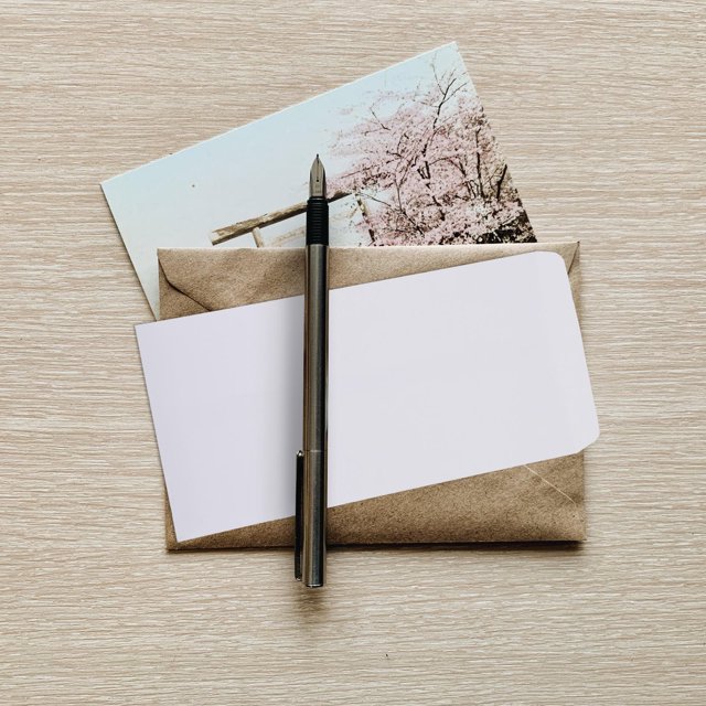 HEANUJJ 100Pcs White Thick Paper Envelopes Storage Bags for Cash Bills and Important Papers