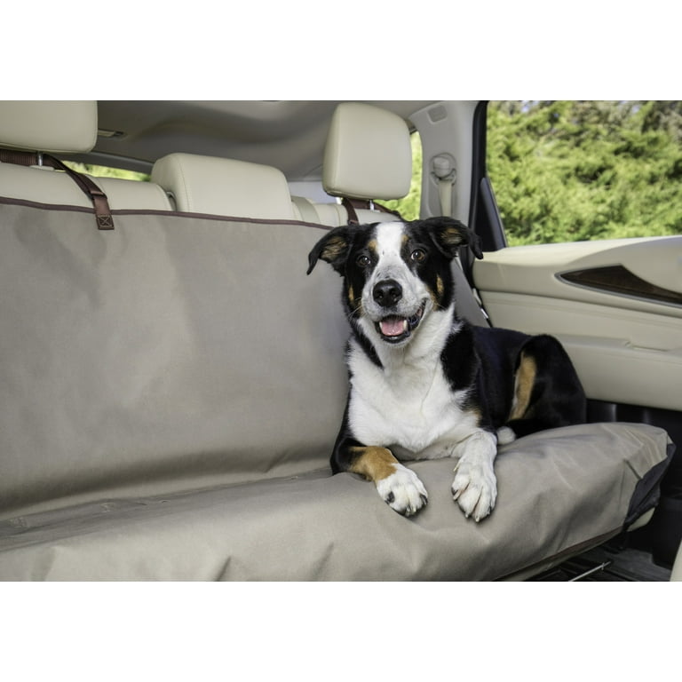 Funny Dogs and Bones Pet Backseat Cover-car Accessories, Dog Lovers Gift,  Pet Owner,dog, Mom Dad, Car Seat Cover,car Seat Protector 