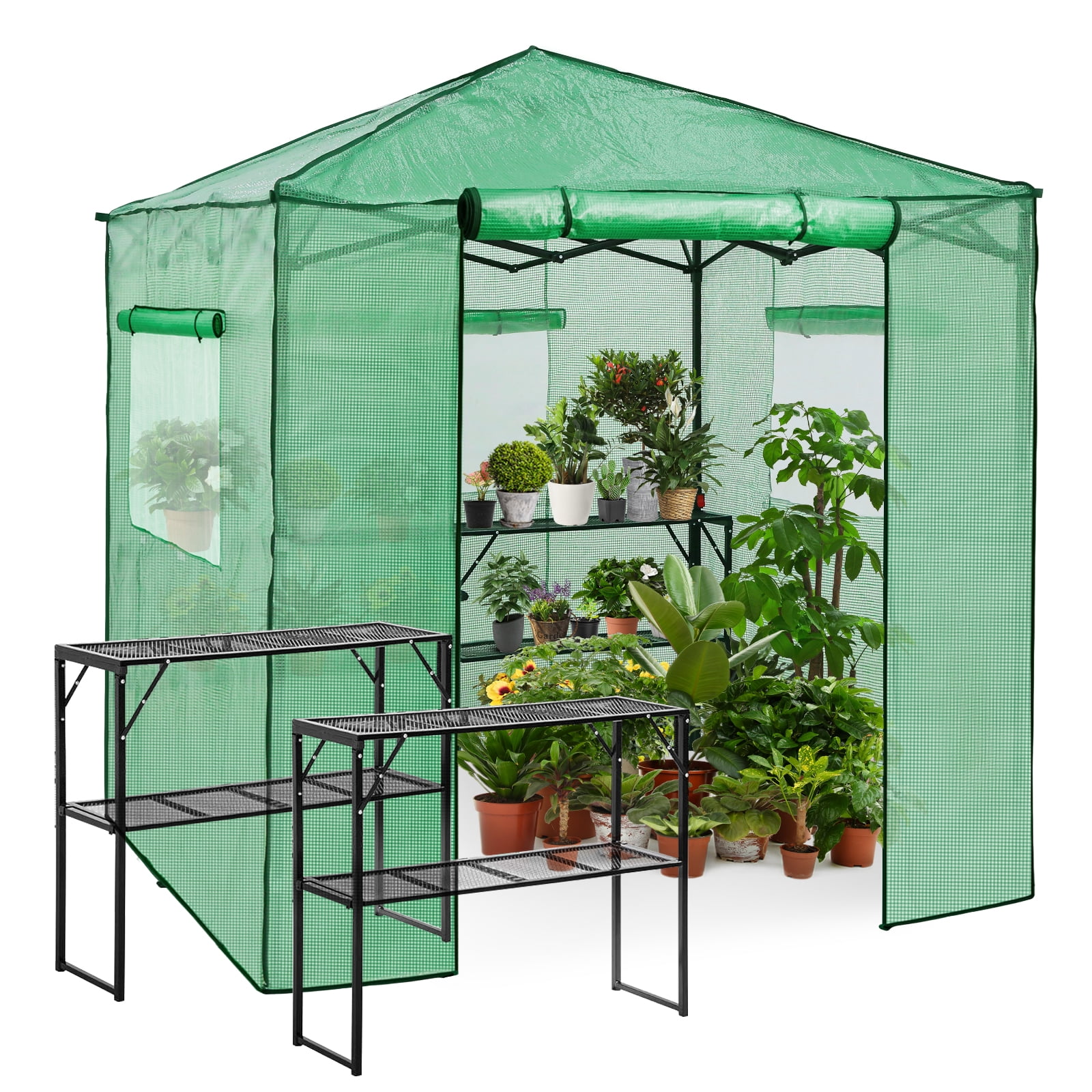EAGLE PEAK 7 Ft. W x 7 Ft. D Pop up Greenhouse Portable Walk-in Outdoor Gardening Green House