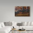 thumbnail image 3 of Trademark Fine Art 'Autumn Reds Red Fox' Canvas Art by Wilhelm Goebel, 3 of 3