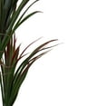 thumbnail image 2 of Northlight 67" Artificial Plastic Dracaena Marginata Potted Plant, Green, 2 of 3