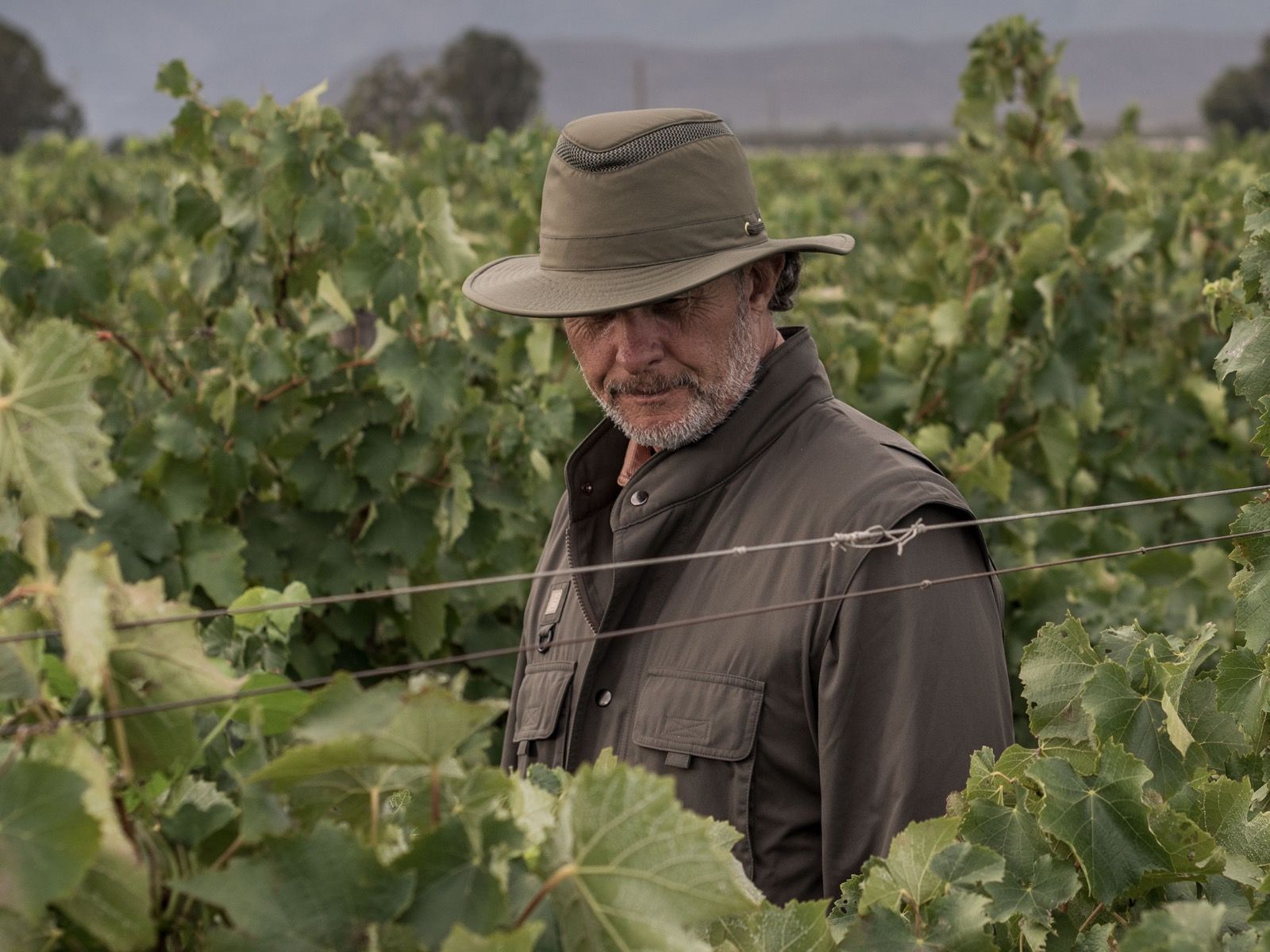 Tilley unisex adult Ltm5 Airflo Medium Brim Recycled Sun Hat, Light Stone, 6.875 US Tilley LTM5 Nylon Airflo Hat