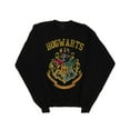 thumbnail image 1 of Harry Potter Mens Hogwarts Varsity Sweatshirt, 1 of 3
