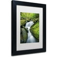 thumbnail image 2 of Trademark Fine Art 'Cascade Mossy Rocks' Canvas Art by Michael Blanchette Photography, White Matte, Black Frame, 2 of 4