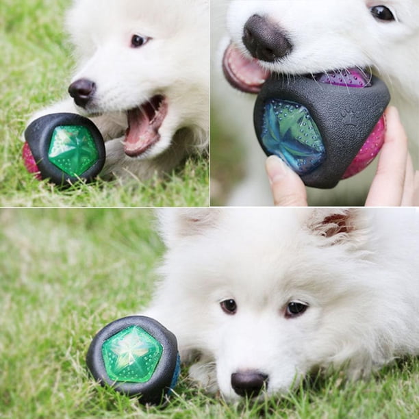 Molares Pelota de goma luminosa para mascotas que brilla intensamente, juguete de entrenamiento para cachorros Ndcxsfigh Libre de BPA