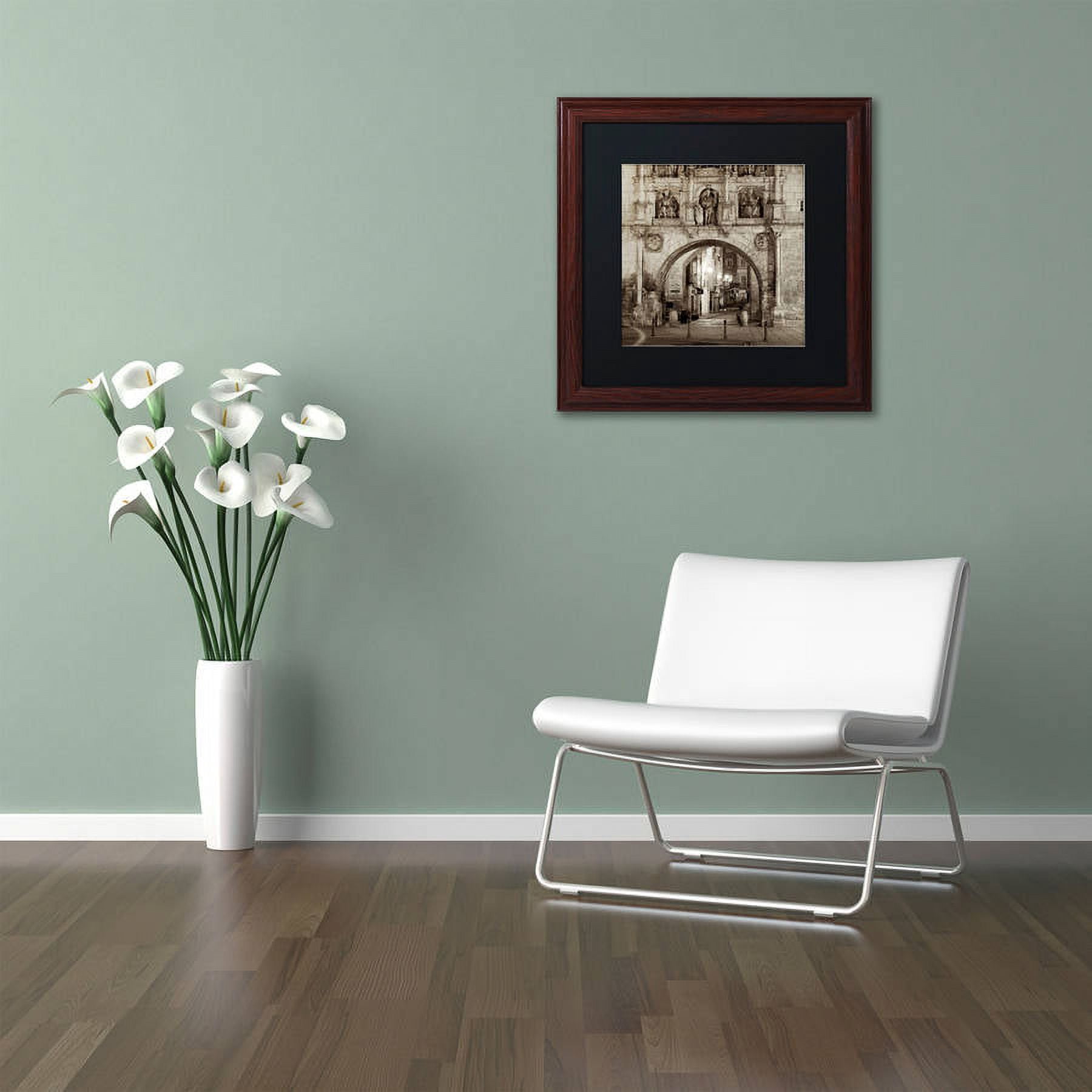 Trademark Fine Art "Burgos I" Canvas Art by Alan Blaustein, Black Matte, Wood Frame