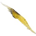 thumbnail image 4 of Artificial Lures, Plastic Soft Lifelike Simulation Soft Prawn Lure Shrimp Fishing Lures Artificial Bait Tackle Accessories10pcs, 4 of 5