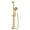 Brushed Gold, variant on Moen Brushed Gold Eco-Performance Handheld Showerhead with 69-Inch-Long Hose Featuring 30-Inch Slide Bar