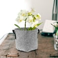 thumbnail image 1 of unbranded 5Ud Contenedores De Tela Para Plantar Verduras Con Resistente, 1 of 8