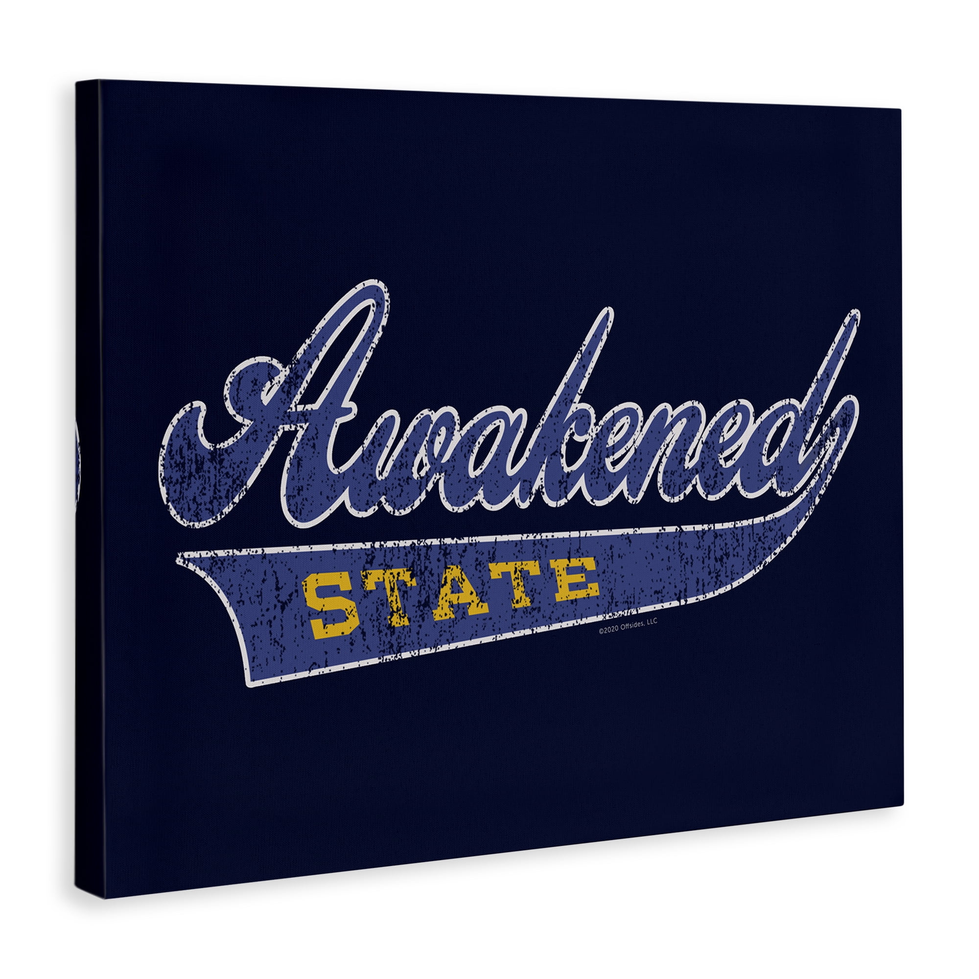 Stupell Industries Awakened State Varsity Novelty & Humor Painting Wrapped Canvas Art Print Wall Art, 20 x 16