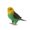 E, variant on Parrot Animal Toys Figurines Home Decorate Preschool Educational