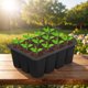 thumbnail image 5 of Propagación Semillas Contenedor Flower Planta Cultiva Caja Bandeja Arranque 12 Agujeros Silicona Transpirable Reutilizable para Que Crecen Comenzando, 5 of 8