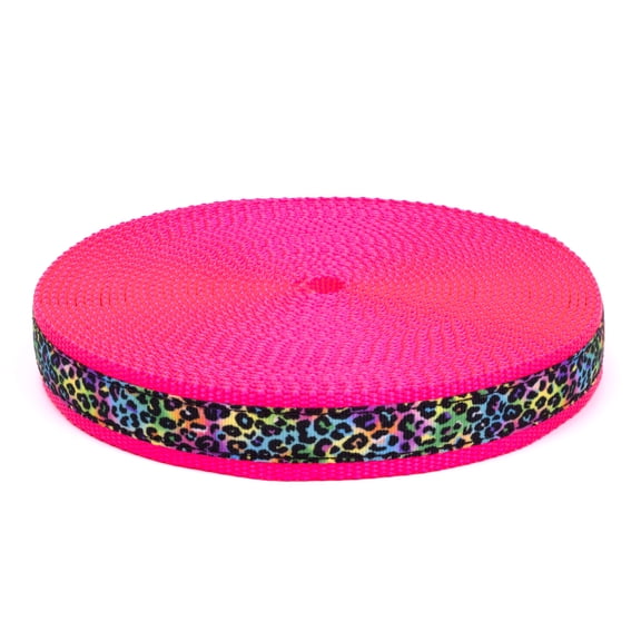 Country Brook Design® 1 Inch Electric Leopard Ribbon on Hot Pink Nylon Webbing, 10 Yards