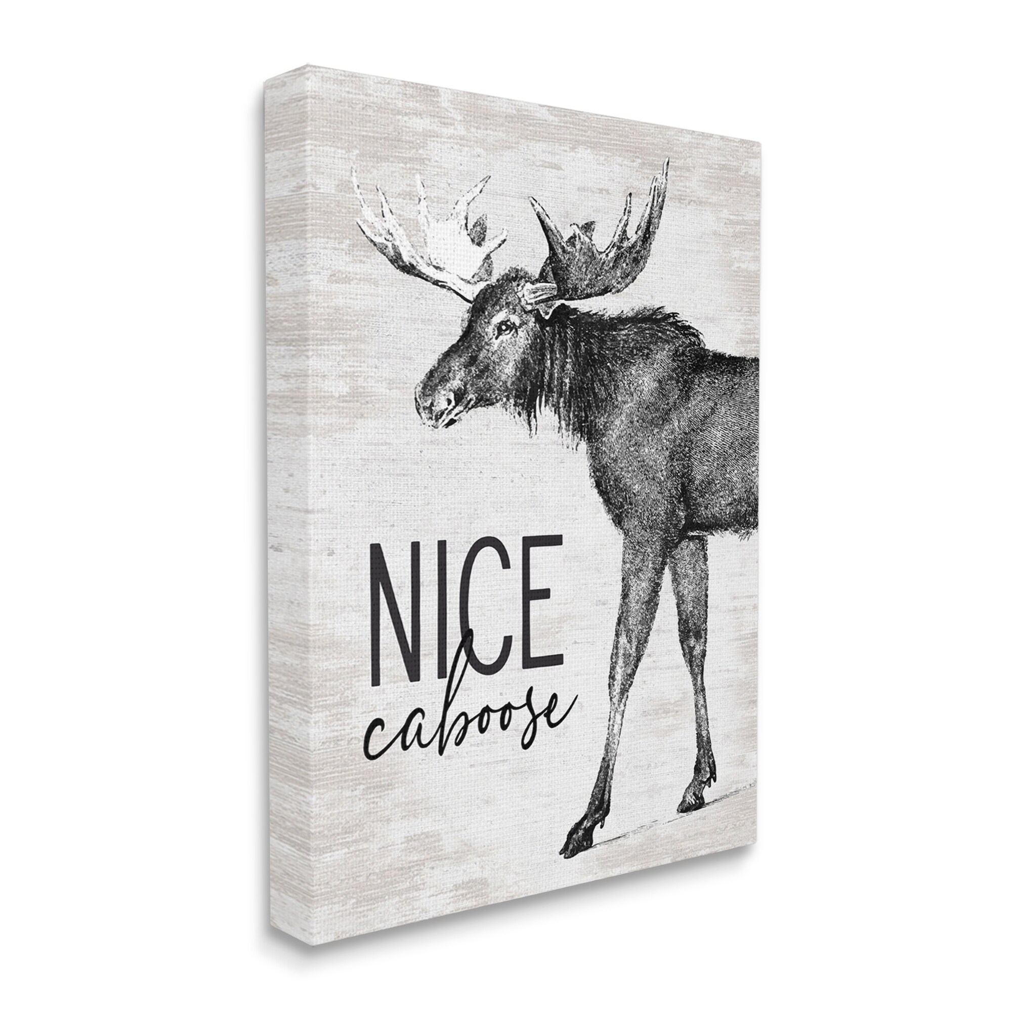 Stupell Industries Nice Caboose Lake House Bathroom Humor Moose Graphic Art Gallery Wrapped Canvas Print Wall Art, Design by Lettered and Lined