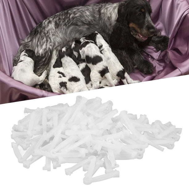 How Do You Tie The Umbilical Cord Off A Puppy