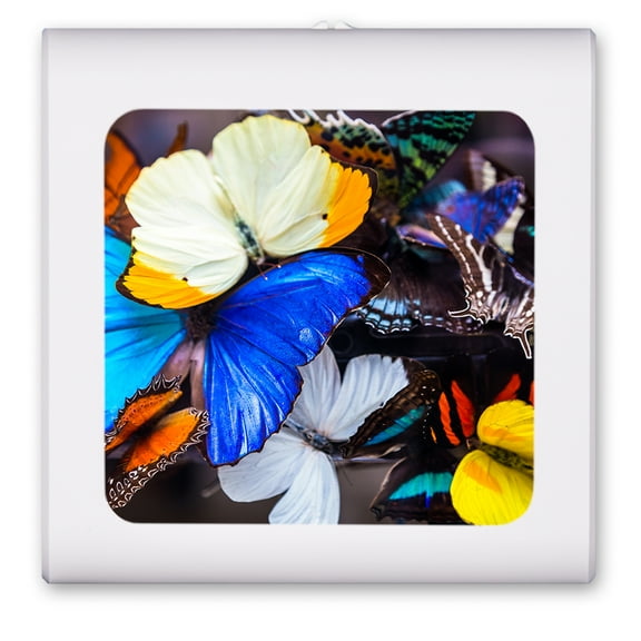 Plug in Dimmable LED Night Light with Dusk to Dawn Auto Sensor, Adjustable Brightness, Warm Light, Auto On/Off Nightlight for Bathroom, Hallway, Nursery, Bedrooms - Colorful Butterflies